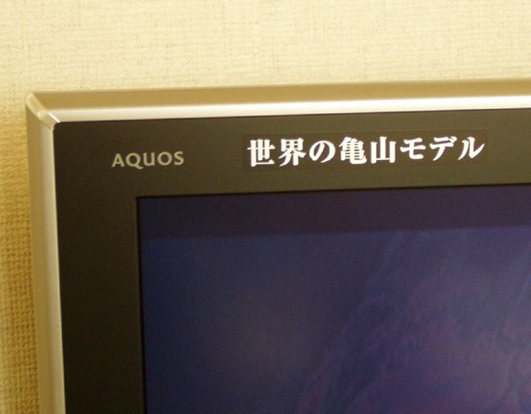 世界に通用する日本人モデル