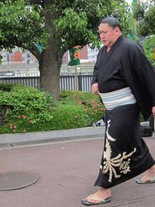 お相撲さん浴衣コレクション2016