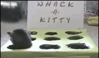 動物のGIF画像が集まるトピ
