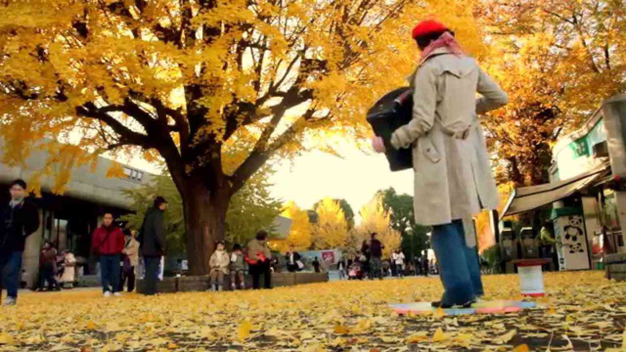 あんざいのりえ　アコーディオン・パフォーマンス - YouTube