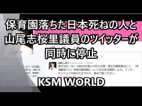 【KSM】保育園落ちた日本死ねの人と山尾志桜里議員のツイッターが同時停止【自作自演】 - YouTube