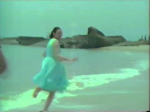 サントリー烏龍茶