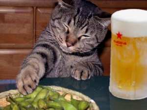 GW飲んだくれ部!
