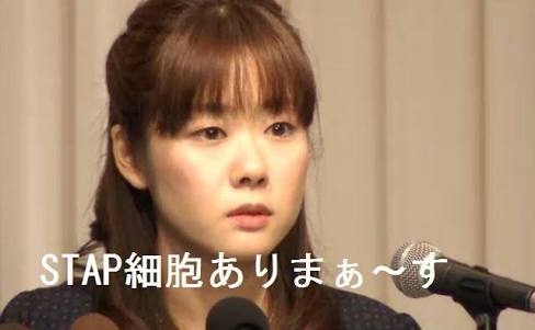芸能人の言葉で心に残っているセリフ