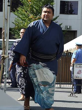 お相撲さん浴衣コレクション2016