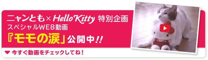 ガルちゃん猫カフェ☆2号店
