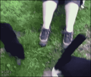 犬と猫って仲良し？それとも？な画像を貼るトピ