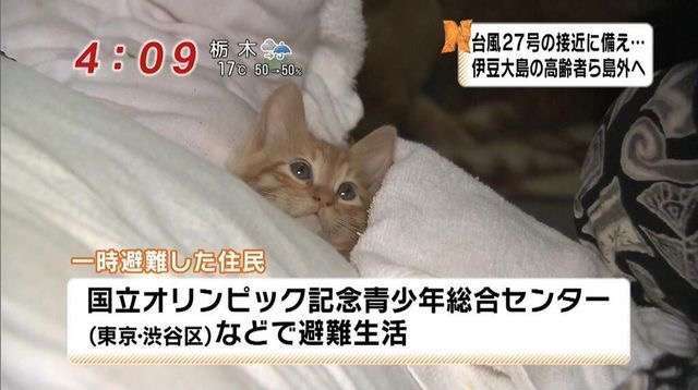 人間っていいな、と思える画像やエピソード