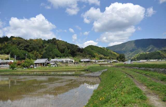 都会と田舎、どっちに住みたいですか?