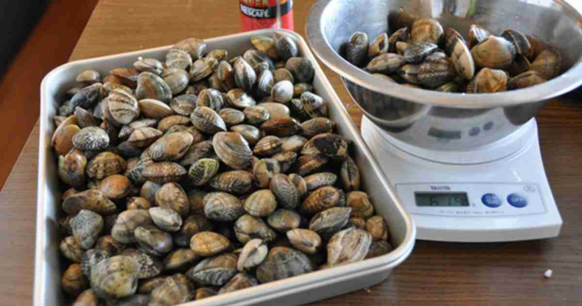 アサリの砂抜きがたった15分でできる方法 ガールズちゃんねる Girls Channel