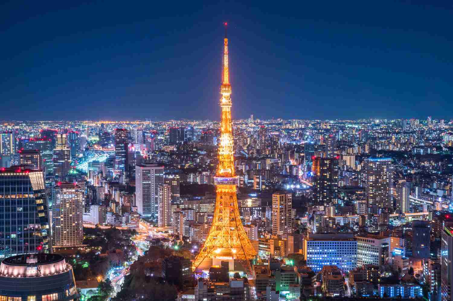 【おひとり様】東京観光のオススメ