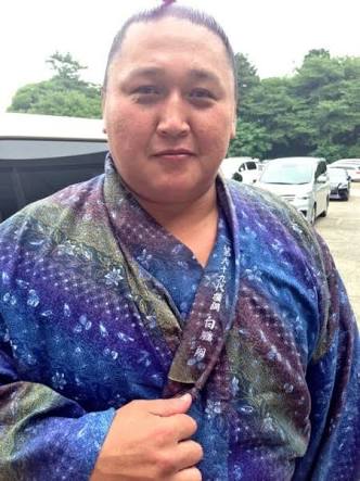 お相撲さん浴衣コレクション2016