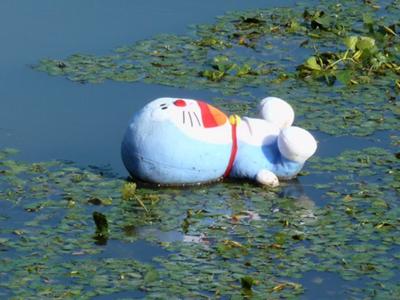 「ばらかもん」好きな人!