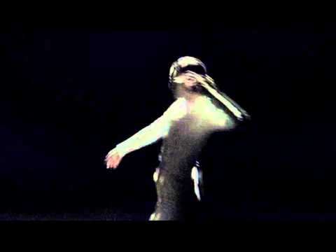 D.A.N. - Native Dancer (Official Video) - YouTube