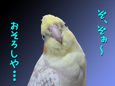 今考えると恐ろしいこと