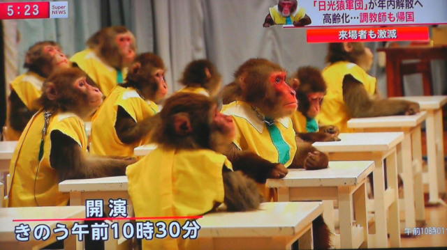 栃木県のオススメスポット