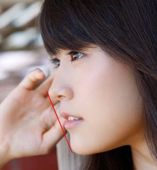 なんとな~く似てる有名人同士やもの!