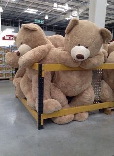 【画像】コストコでクマのぬいぐるみを買ったら、持ち帰り方がこれしかなかった(笑)
