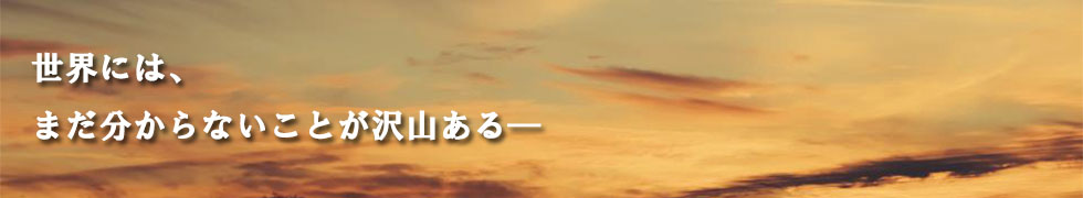 【画像あり】アメリカ史に残る猟奇事件ブラック・ダリア事件！犯人は？ | あなたの好奇心を擽る世界ミステリー集