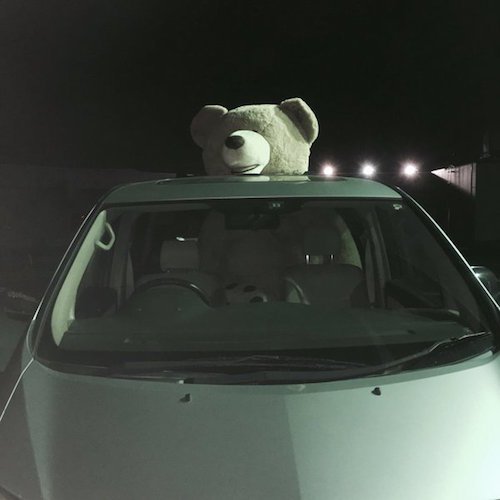 【画像】コストコでクマのぬいぐるみを買ったら、持ち帰り方がこれしかなかった(笑)