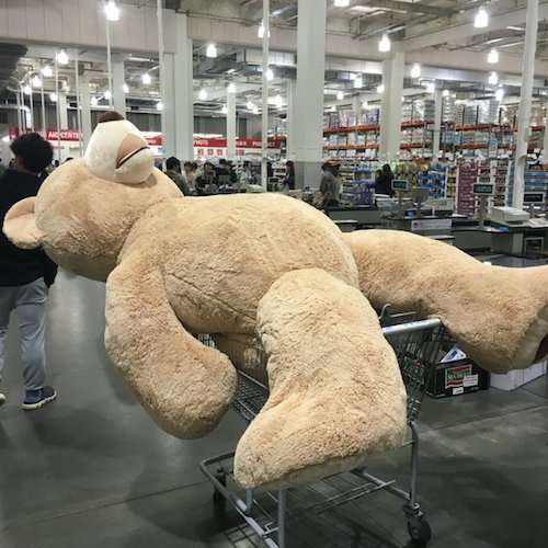 【画像】コストコでクマのぬいぐるみを買ったら、持ち帰り方がこれしかなかった(笑)