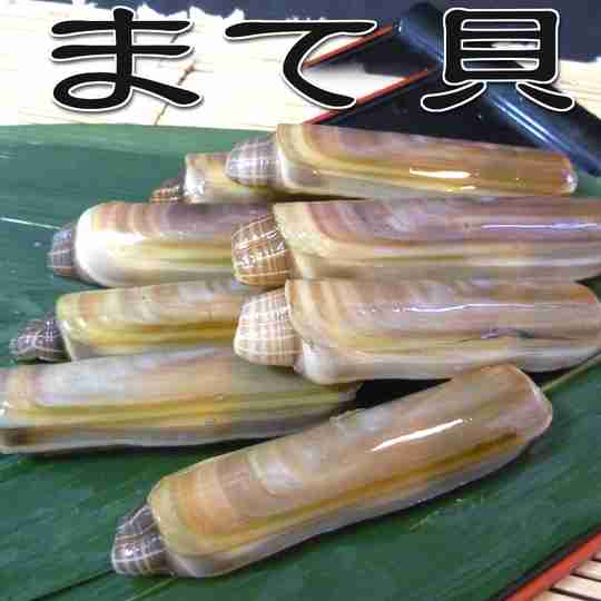 木村拓哉ゲーム