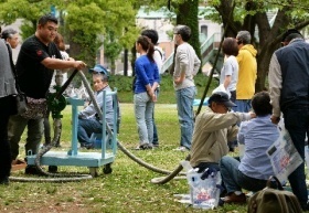避難所に9万人超　住民悲痛「水、食料足りない」「情報が全く入ってこない」 （西日本新聞） - Yahoo!ニュース