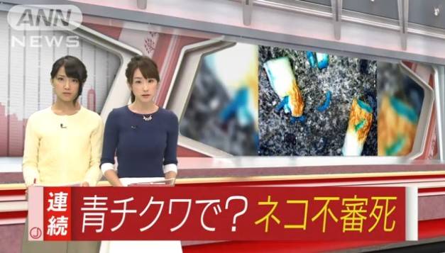 “青いチクワ”食べ?ネコが連続死 農薬入りか