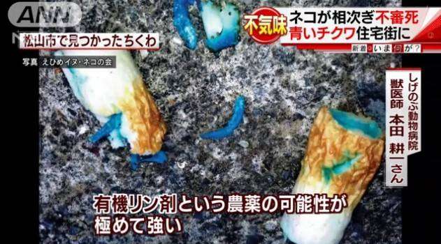 “青いチクワ”食べ?ネコが連続死 農薬入りか