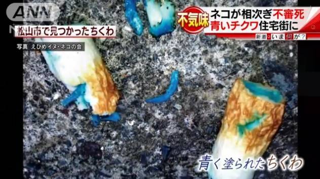 “青いチクワ”食べ?ネコが連続死 農薬入りか