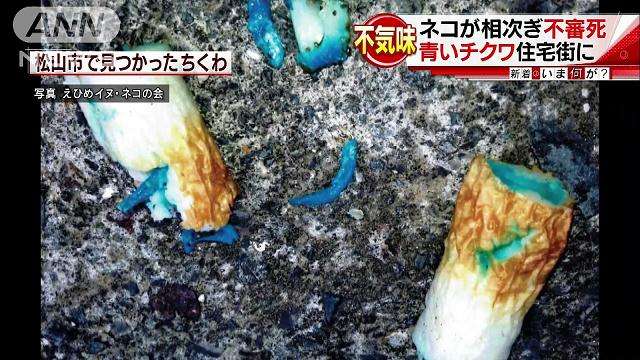 “青いチクワ”食べ？　ネコが連続死　農薬入りか