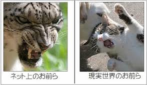 ネットと現実で違うと思うこと