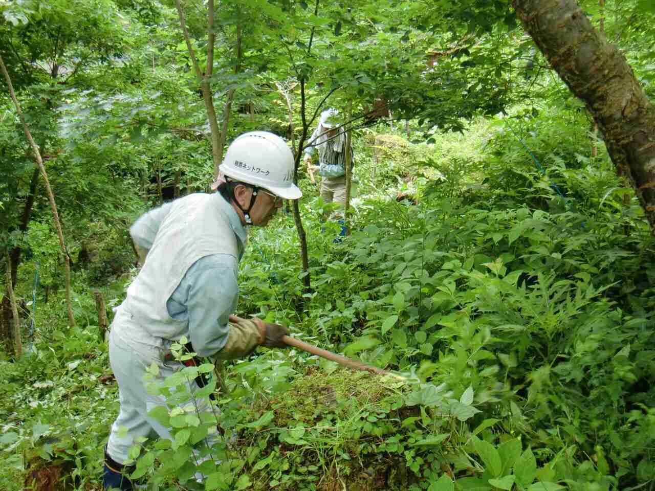 【画像】動物が隠れている画像を下さい