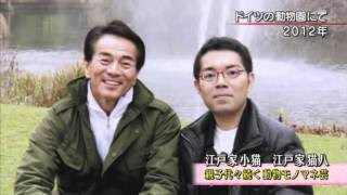 【訃報】建築家のザハ・ハディドさん死去、新国立競技場の当初のデザイン案。