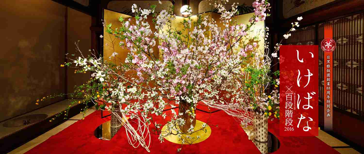 いけばな×百段階段2016　東京都指定有形文化財「百段階段」特別企画 ｜催し物｜目黒雅叙園