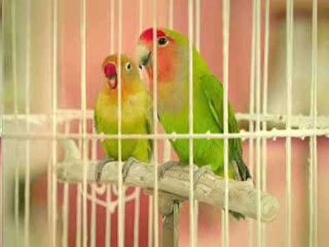 ホーチキ３０秒ＣＭ - YouTube