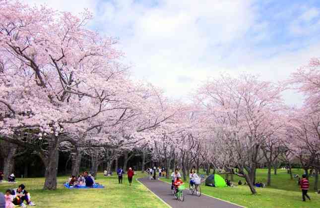 花見で横浜の公園半分以上を5日間「場所取り」 ネットで非難殺到して「謝罪」「撤退」した大企業