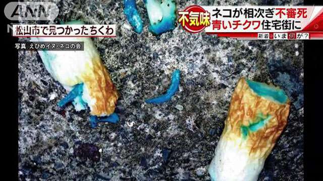 青いチクワ食べ？猫が相次ぎ不審死 | ANIMALive