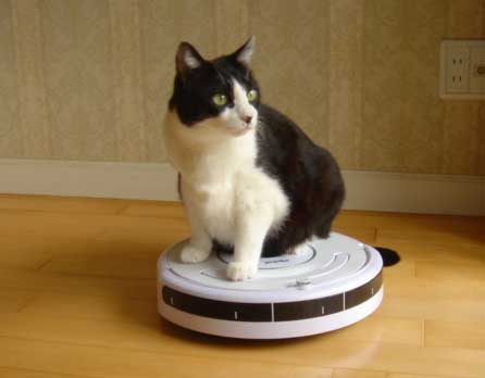賢そうに見える動物の画像トピ