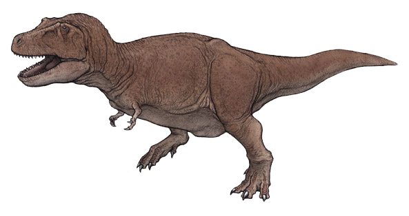 ティラノサウルス（Tyrannosaurus rex ） 恐竜のデジタル図鑑