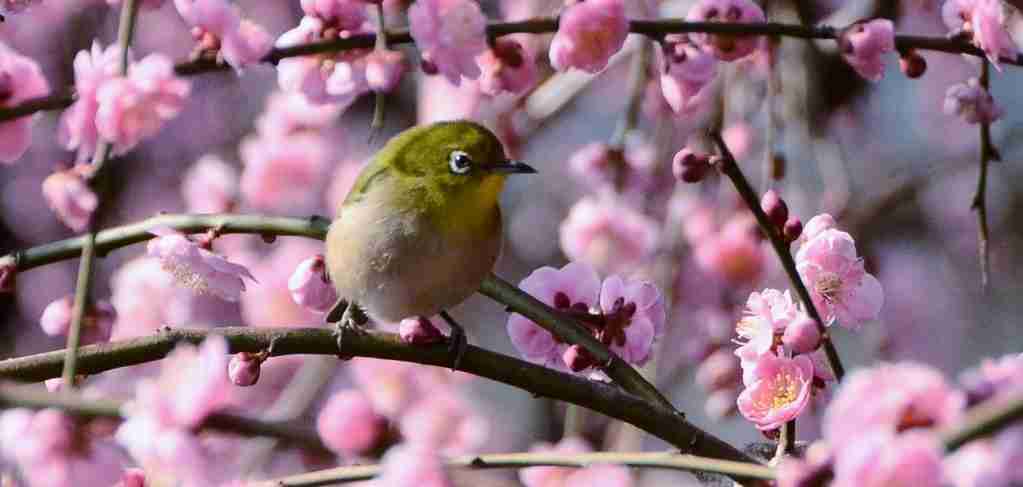 新年度初日、どうでしたか？