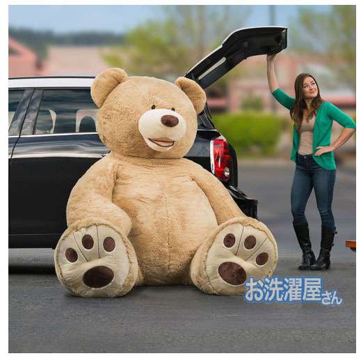 【画像】コストコでクマのぬいぐるみを買ったら、持ち帰り方がこれしかなかった(笑)