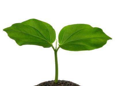 これだけは自信を持って言えるってこと