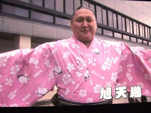 お相撲さん浴衣コレクション2016