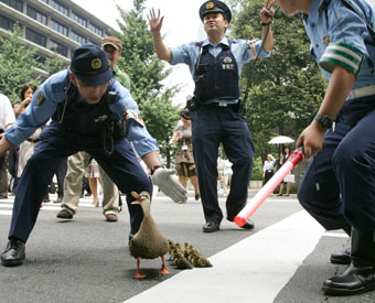 人間っていいな、と思える画像やエピソード