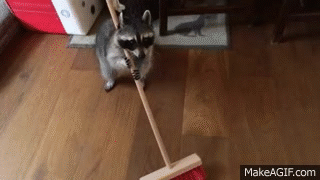 動物のGIF画像が集まるトピ