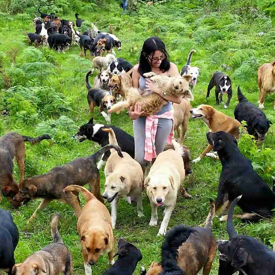 900匹以上の新種の犬がお出迎え「犬の楽園」がコスタリカに！ | ANIMALive