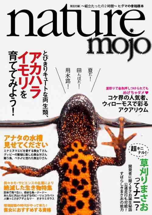 モテない自慢