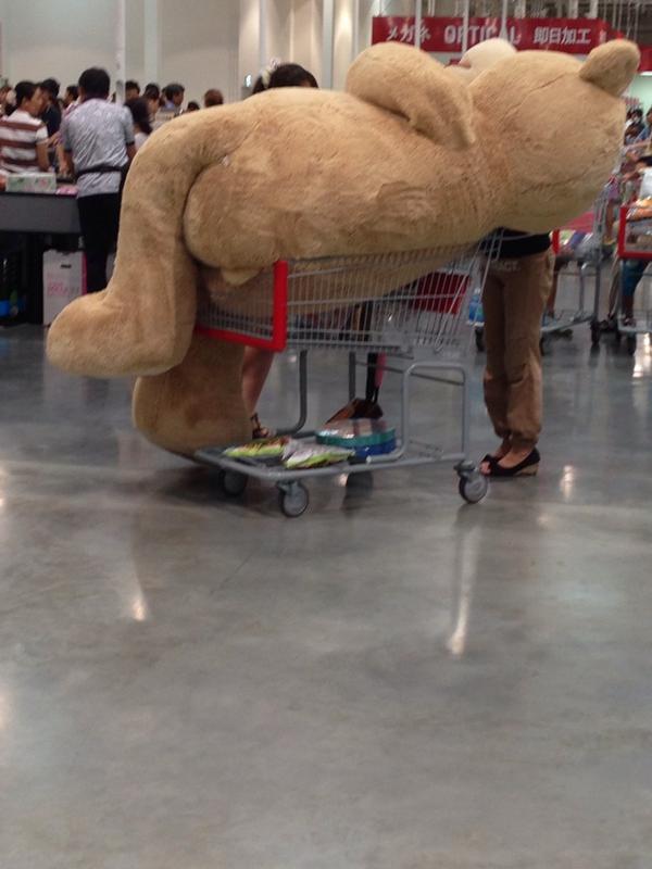 【画像】コストコでクマのぬいぐるみを買ったら、持ち帰り方がこれしかなかった(笑)