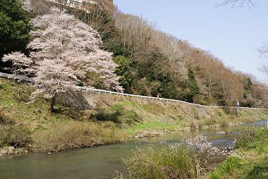 最新!話題のローカルニュース